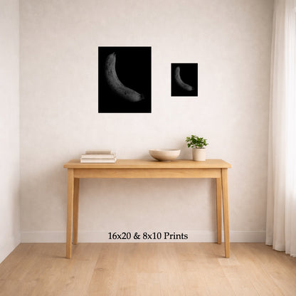 Spotted at 16x20 and 8x10 on a wall above a console table, shown to scale