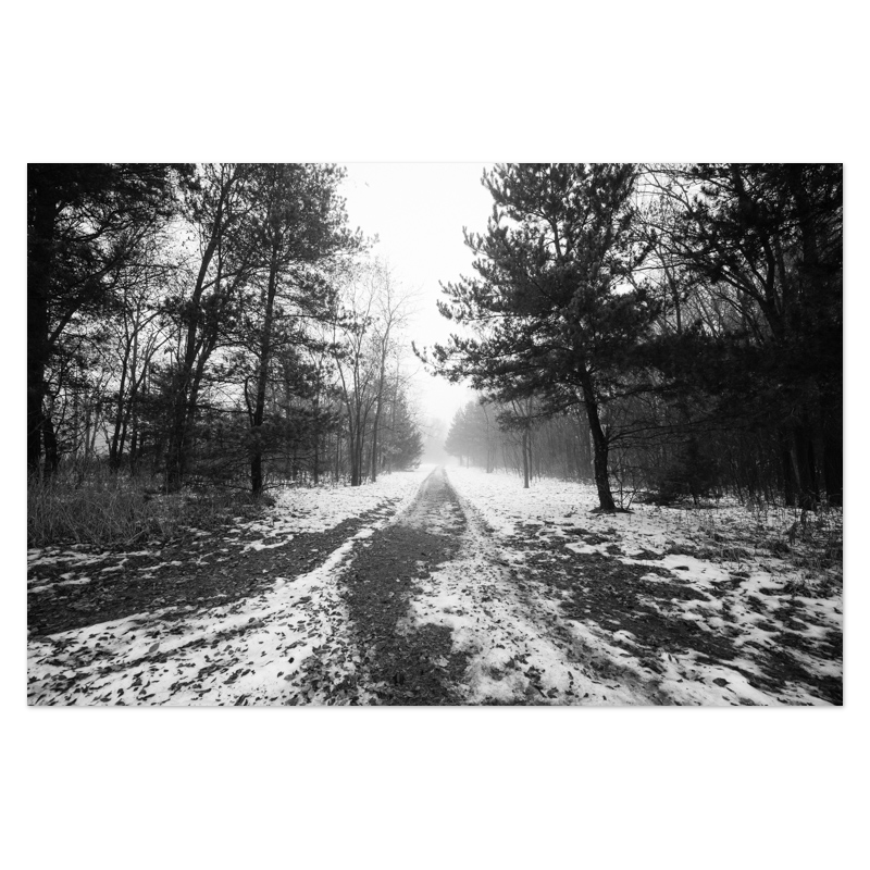 Road To Somewhere Photo Print, mounted Fuji Lustre, printed edge to edge