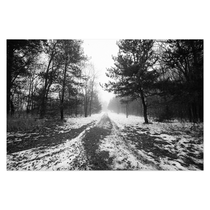 Road To Somewhere Photo Print, mounted Fuji Lustre, printed edge to edge