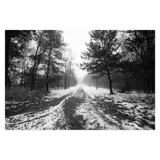 Road To Somewhere Photo Print, mounted Fuji Lustre, printed edge to edge