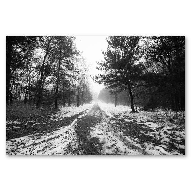 Road To Somewhere Metal Print, float-mounted, printed edge to edge