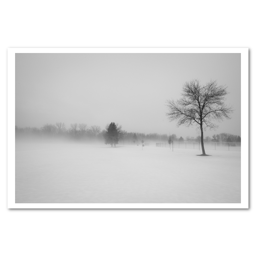 Snow Day fine art photograph