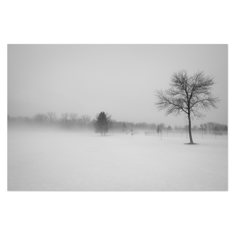 Snow Day Photo Print, mounted Fuji Lustre, printed edge to edge