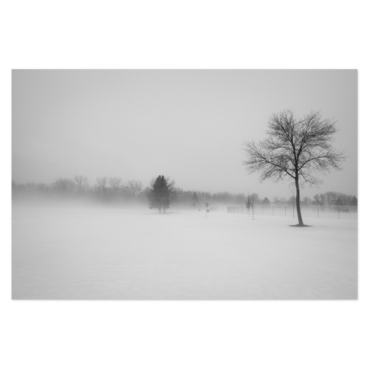 Snow Day Photo Print, mounted Fuji Lustre, printed edge to edge