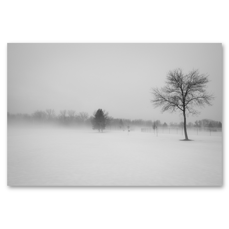 Snow Day Metal Print, float-mounted, printed edge to edge