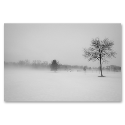 Snow Day Metal Print, float-mounted, printed edge to edge