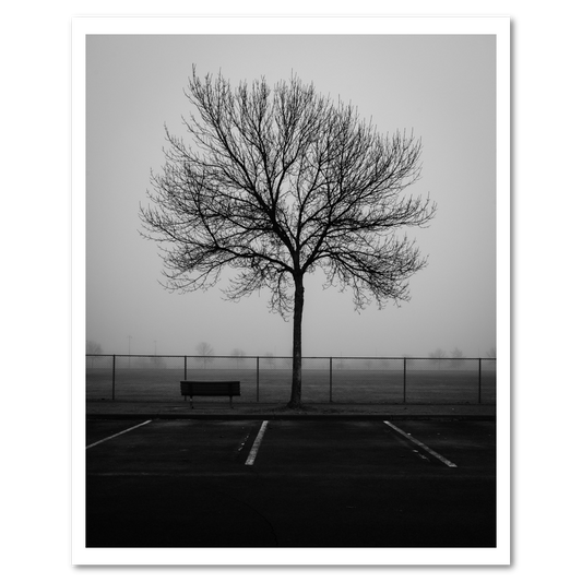 Reserved Seating fine art photograph