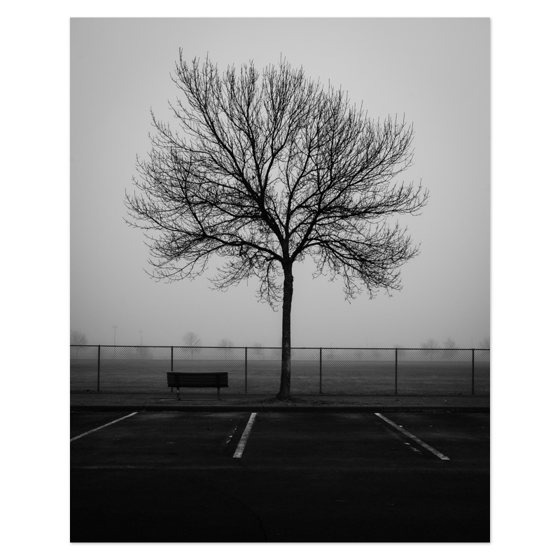 Reserved Seating Photo Print, mounted Fuji Lustre, printed edge to edge