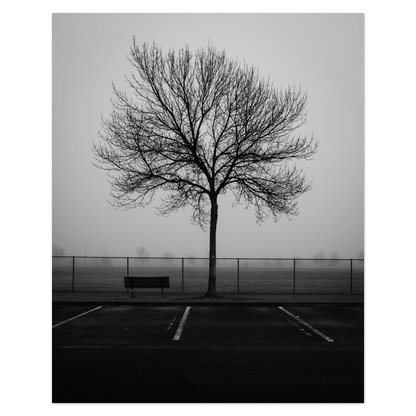 Reserved Seating Photo Print, mounted Fuji Lustre, printed edge to edge