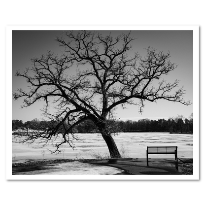 Rest Stop fine art photograph