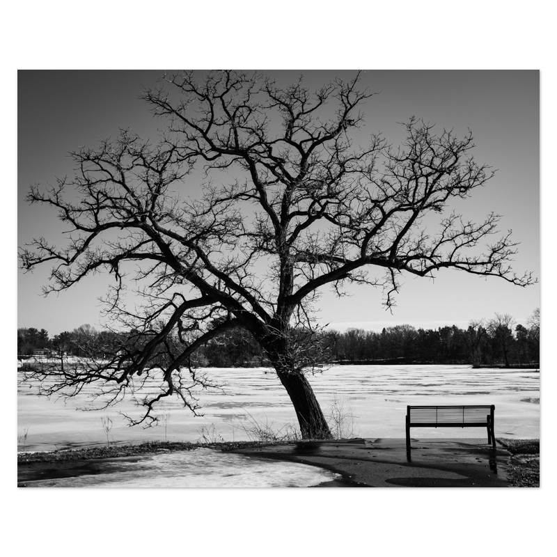 Rest Stop Photo Print, mounted Fuji Lustre, printed edge to edge