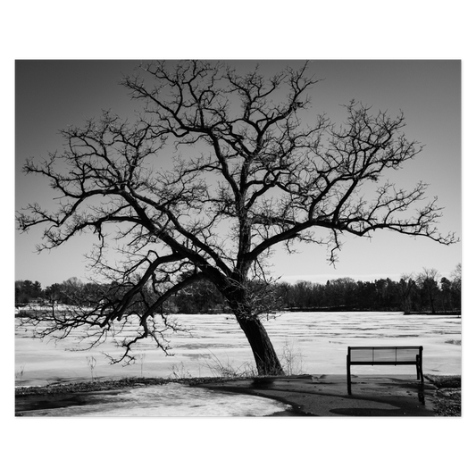 Rest Stop Photo Print, mounted Fuji Lustre, printed edge to edge