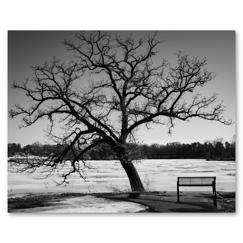 Rest Stop Metal Print, float-mounted, printed edge to edge