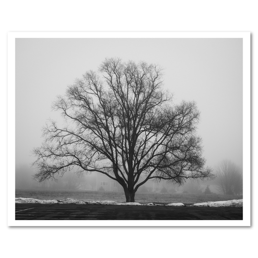 Regular Attendance fine art photograph